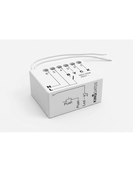 RECEPTEUR RADIO KING GATES 230V 1000 W