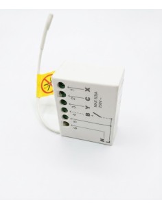 RECEPTEUR RADIO KING GATES 230V 1000 W 2