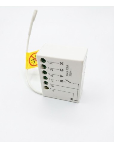 RECEPTEUR RADIO KING GATES 230V 1000 W