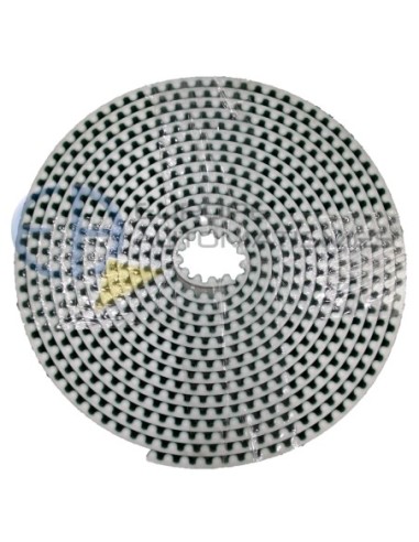 172566