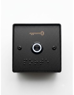 BOUTON POUSSOIR + BOITIER INOX LARGE NOIR 2
