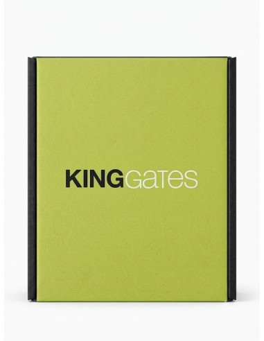 FEU CLIGNOTANT A LED 24V KING GATES