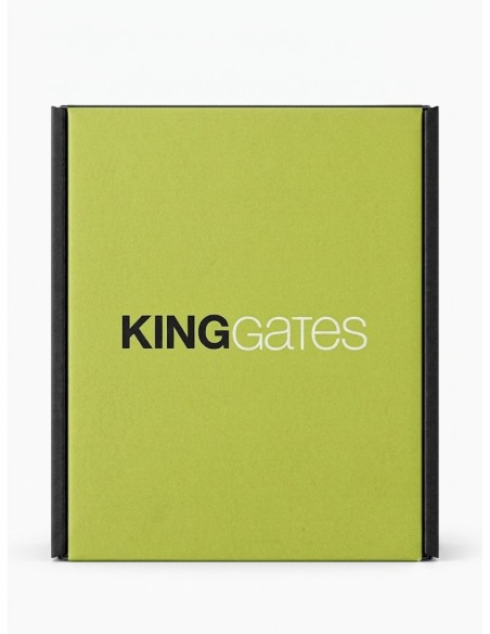 FEU CLIGNOTANT A LED 24V KING GATES