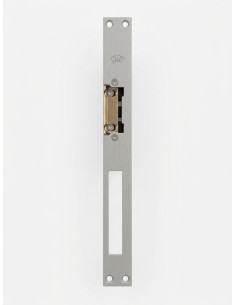 GACHE A ENCASTRER 12V AC GRANDE TETIERE 2